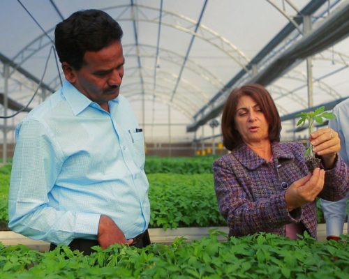Farmers’-Study-Tours-2 Farmers’-Study-Tours-2